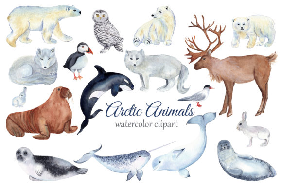 Arctic Animals Watercolor Clipart: A Charming Design Asset for Creative Projects