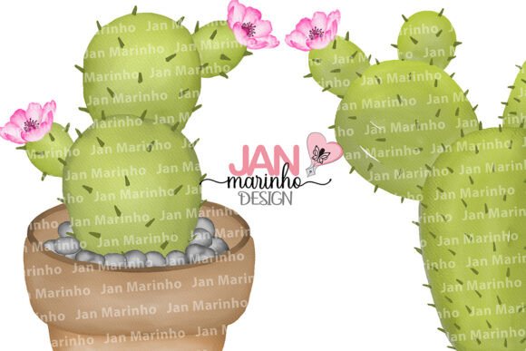 Desert Cactus Watercolor Clipart for Authentic Brand Illustrations
