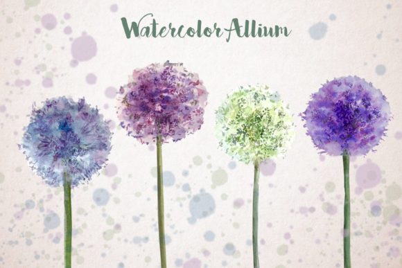 Watercolor Allium Clip Art Set Review for Real-World Crafting
