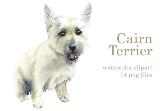 Watercolor Cairn Terriers: A Versatile Illustration for Content Publishing