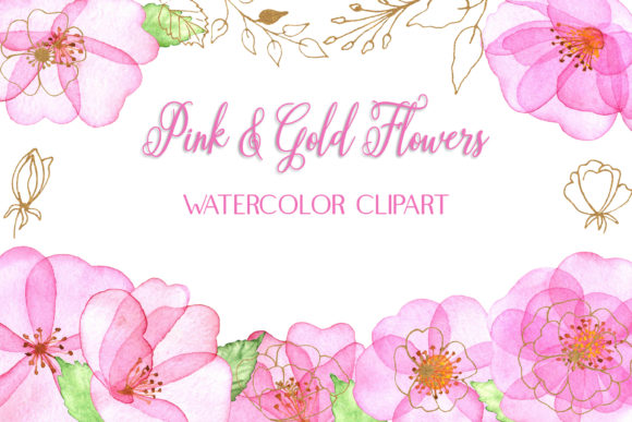 Watercolor Clipart of Soft Pink Flowers Review