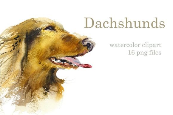 Watercolor Dachshund Illustrations for Content Publishing