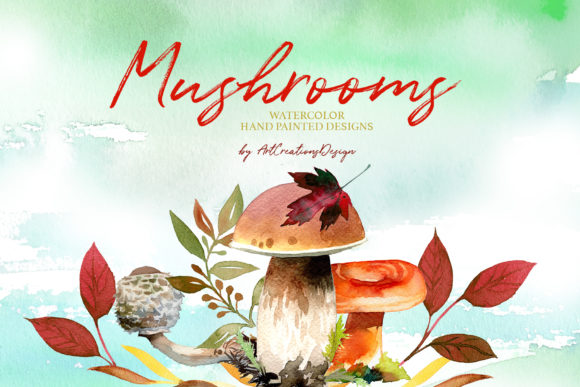 Watercolor Mushrooms Illustrations for Local Business Branding