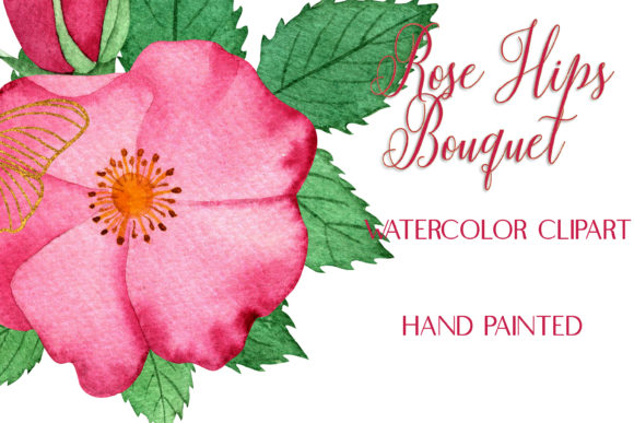 Watercolor Pink RoseHips Bouquet ClipArt for Local Business Branding