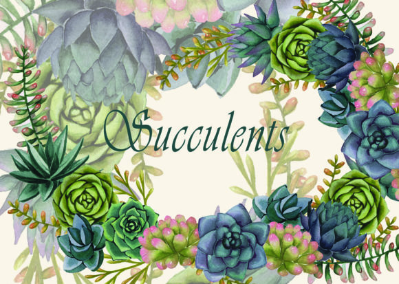 Watercolor Succulents: A Versatile Illustration for Modern Branding