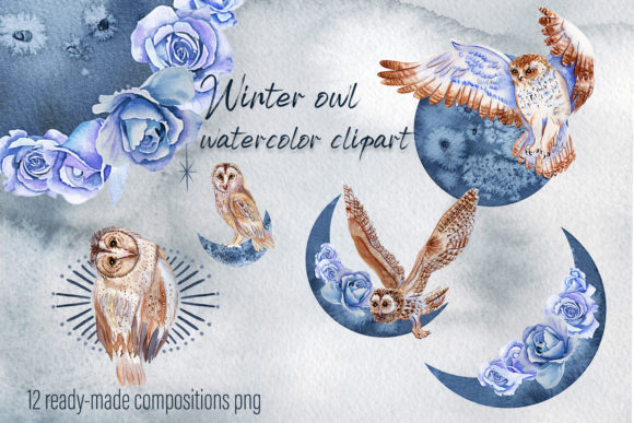 Winter Birds - Owl. Watercolor Set Review for Real Projects